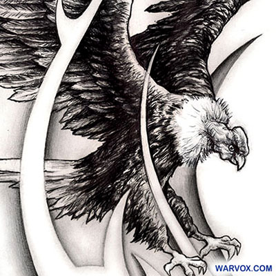 andean condor tattoo