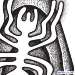 Spider Nazca Lines Tattoo Design 2 - Aztec Tattoo Ideas